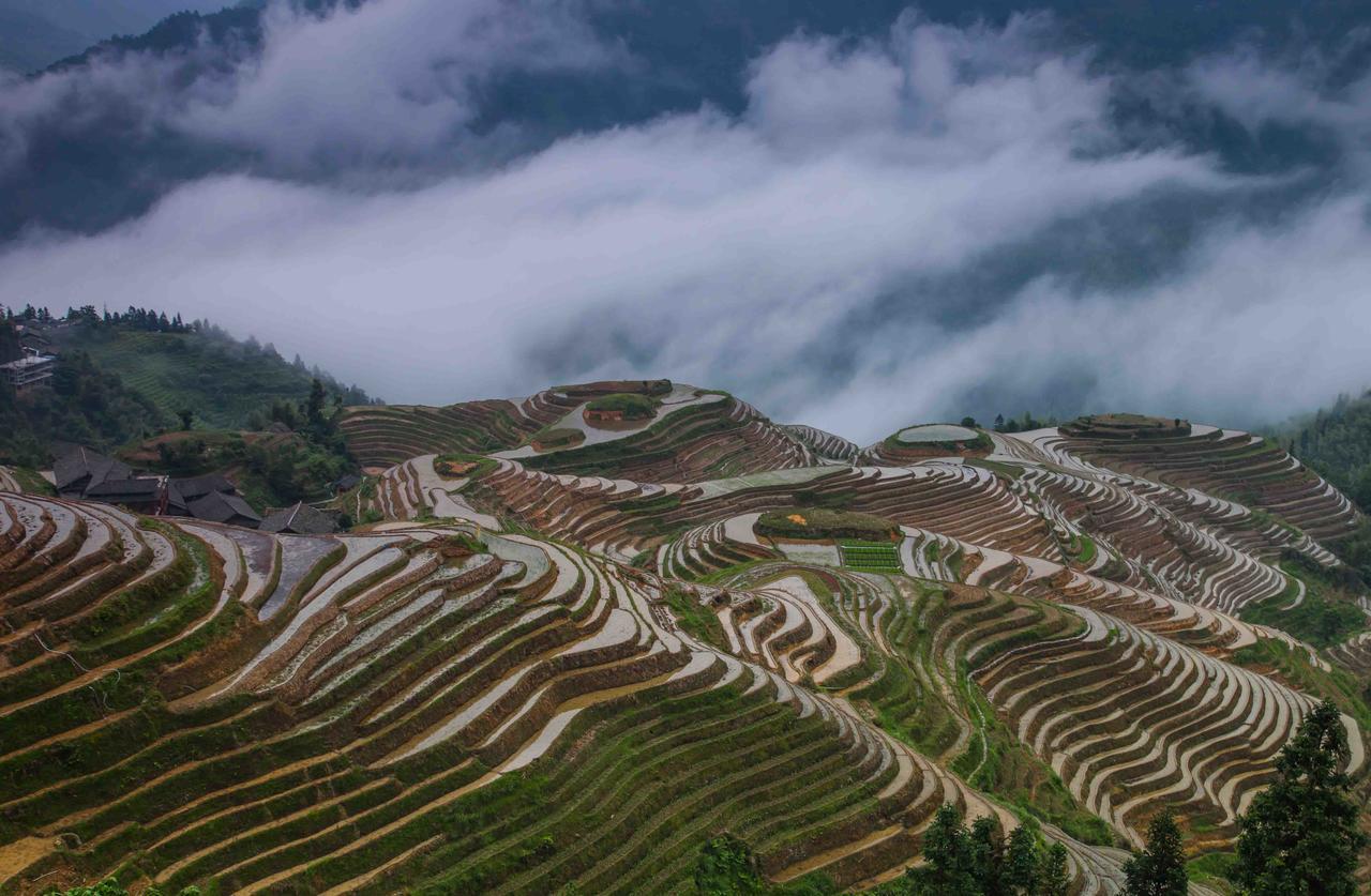 Longji Holiday Hotel Лунгшен Екстер'єр фото